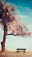 descargar wallpaper de Naturaleza